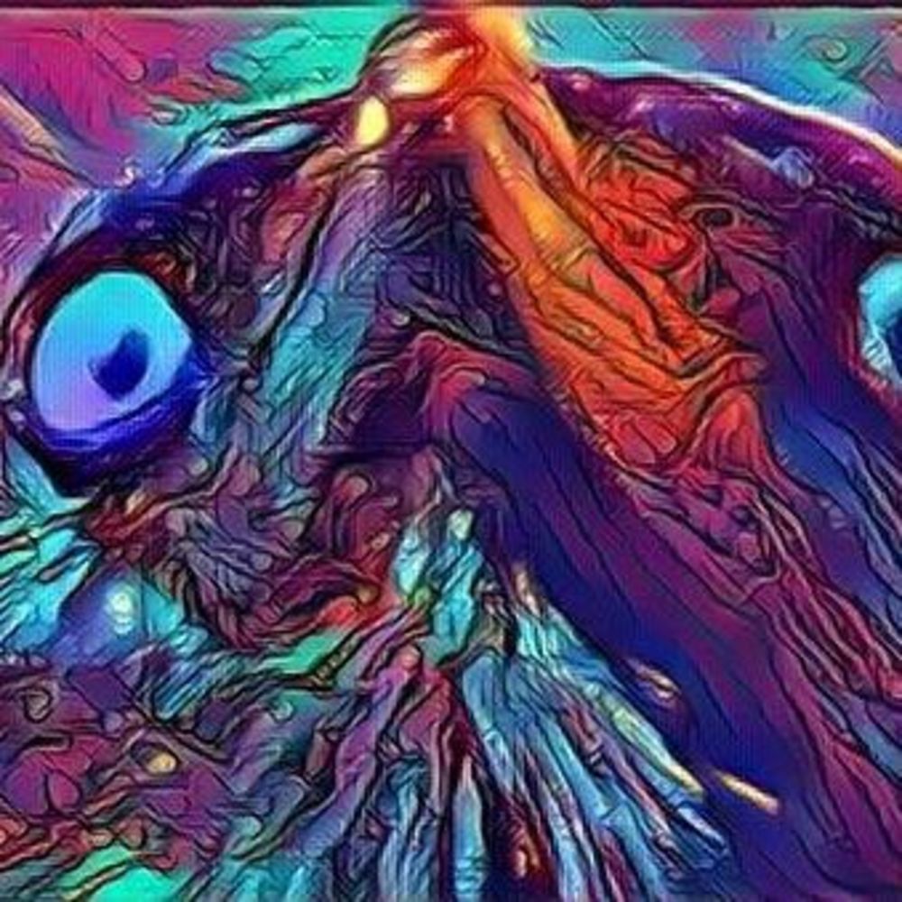 Meet your Posher, Julie